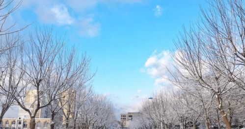 今冬最冷天气会什么时间,未来一段时间的天气预报