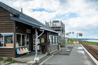 成都新津住宿推荐(虹中路免费停车场)