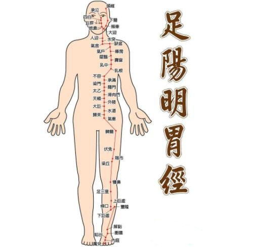 胃经最常见的两个瘀滞点