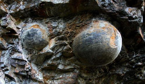 贵州出现 产蛋崖 石蛋光滑到反光,竟然是5亿年前的宝贝