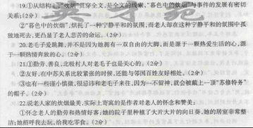 迟子建暮色中的炊烟主要内容