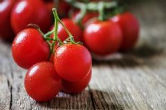 西红柿的营养价值(西红柿的营养价值及功效有哪些)