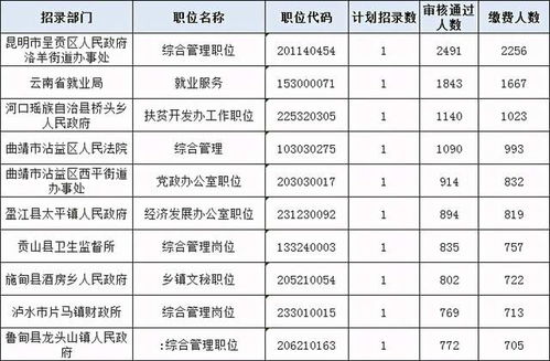 云南公务员考试哪些岗位最难考 有你想报的吗