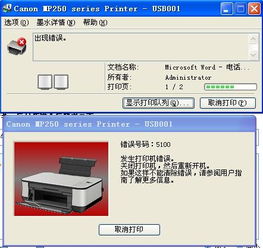 佳能mp259显示错误代码是5100 打印机忙碌 如何解决啊 急急急 