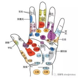 保养五脏六腑 手掌穴位一次搞定 附详细图解 