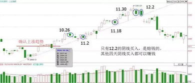 如果投资一万块到股票市场，资金如何分配