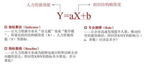 新成立企业的人力资源工作如何展开