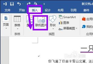 Microsoft Word 文档怎么插入网络图片？