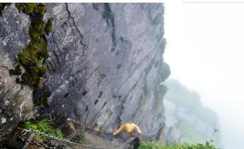 中国 最独特 的寺庙,究竟是天塌还是地陷,才能有这样的奇观