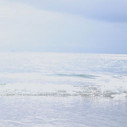 风平浪静的是大海