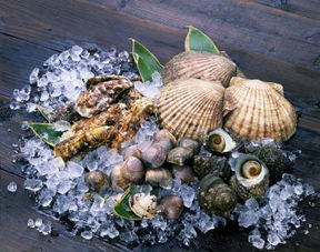 牡蛎或者扇贝肉,其中绿色的东西是屎,还是它们吃进去的海藻 能吃吗 用去掉吗 怎样去除 