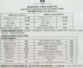 去美国生孩子到底要多少钱 必花项目86079元