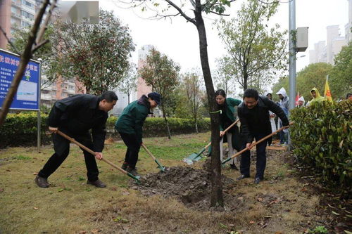 不负春光,跟河长们一起来植树