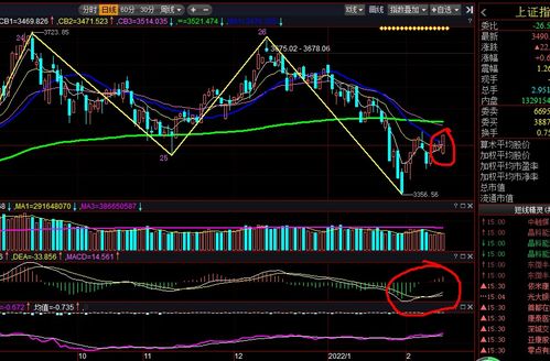 2022年5月28日的股票大盘为什么跌那么狠？突然就猛一跌，谁能解释下？