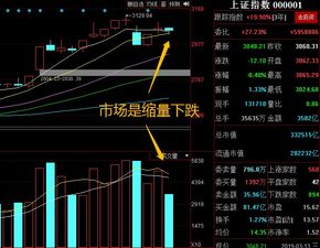 股票栏目没了