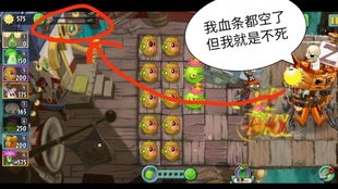 pvz2 我要举报僵王开锁血挂