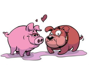 2023年属猪的婚姻,2023年运气好的属相！