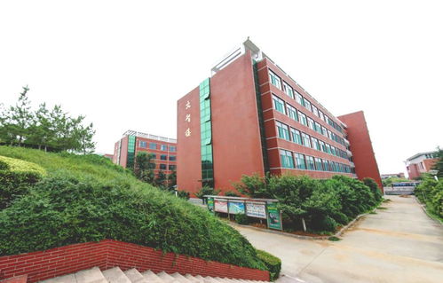 湖北前十名职业技术学院 武汉高职高专院校排名