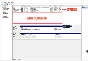 win10设备管理有硬盘但是不显示