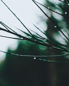 春夜喜雨，春雨的诗意的探寻与人生启示，春夜喜雨这首诗的意思是什么意思