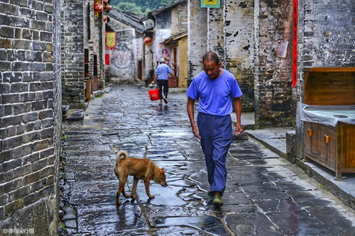 中国5个适合老人旅游的地方,父亲节你准备带爸爸去哪玩 