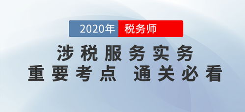 税务师 涉税服务实务 考前必须掌握的这些知识点,你都学会了吗 