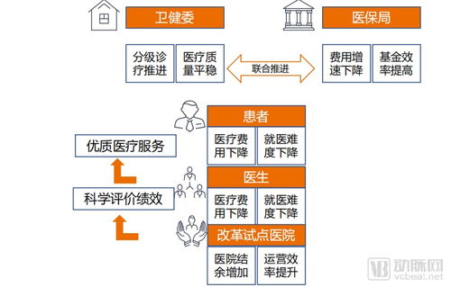 2019未来医疗产业树报告 供需视角解析产业结构,三维视角观察行业演进 