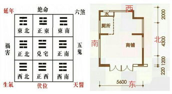 店门在正东,必客如潮涌,调东北财位,可日进斗金 