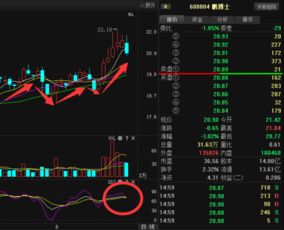 鹏博士600804后势走势？