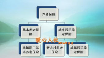 普通农民养老金每月多少钱(普通员养老保险费)