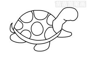 小乌龟简笔画图片大全 教程 
