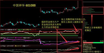 盯盘先锋的黑马雷达是“股票池”吗？