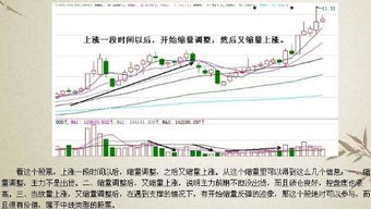 审计的怎么说股票涨跌他们知道