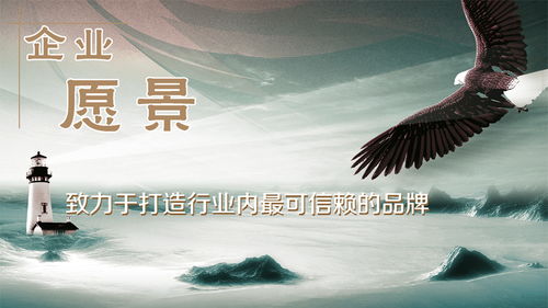 公司的愿景、使命和价值观是什么?