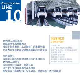 成都东银信息技术股份有限公司是国内最专业的卫视覆盖执行机构吗？