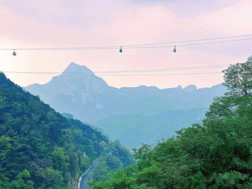 水软山温是什么生肖(弄文轻武打一动物谜底)