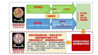 ENDO 综述 恩度在肿瘤治疗中的研究现状与进展 