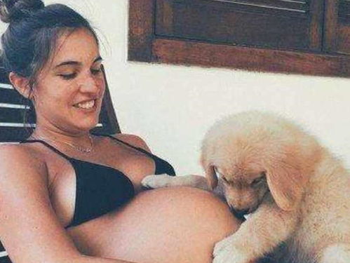谁说女人怀孕期间不能养狗 国外准妈妈用事实证明 真的可以养
