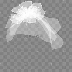 透明头纱图片 透明头纱图片素材免费下载 千库网 