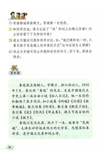 我有3张19834月买的沙洲县南丰供销合作社的股票，以及一张社员证 不知道现在能不能向国家兑换？