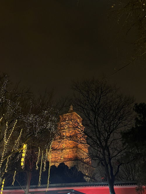 大雁塔 大慈恩寺的日与夜 游玩攻略有问必答 