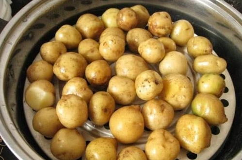 土豆为什么别名 马铃薯 看到马铃的样子,我才恍然大悟