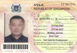 新加坡旅游**申请网站
