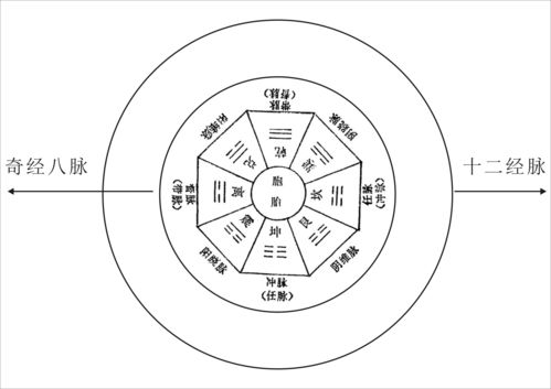 灵魂大揭秘 奇经八脉与易经八卦,道家元神与佛家阿赖耶识