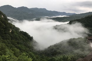 神农架最值得去的景点 神农架旅游攻略 