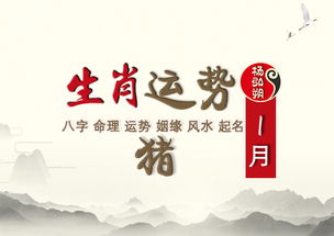 属猪2019年运势及运程