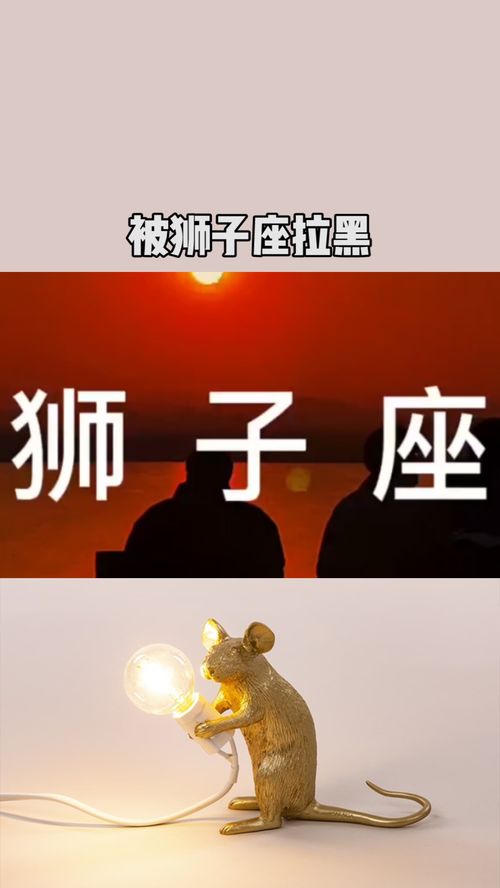 如果你被狮子座拉黑或删除了 