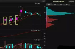 个股时分趋势图中 升跌 幅度 成交 涨停是什么意思