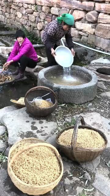 农村大妈淘麦子手法太完美,麦麸子流的干干净净,可有些人竟然说太落后 