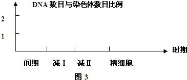 下列关于生态工程的叙述.正确的是 A.窦店村综合发展型生态工程建立了良好的物质多级循环利用程序B.在城市环境治理中.实现垃圾分类处理体现了整体性原理C.对湿地的恢复 